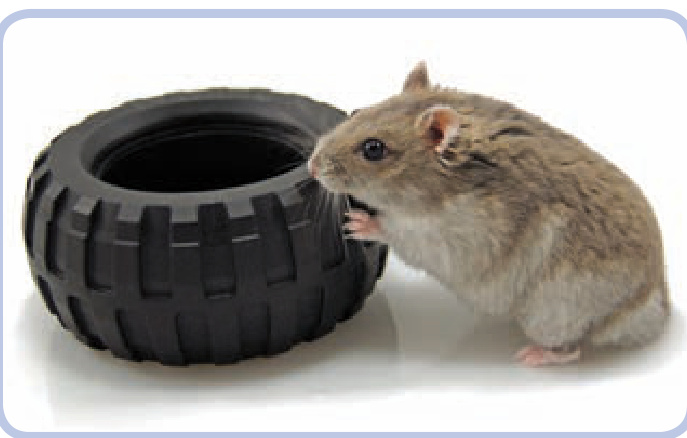 典型越野轮胎，柔软突出，滚动阻力特别高