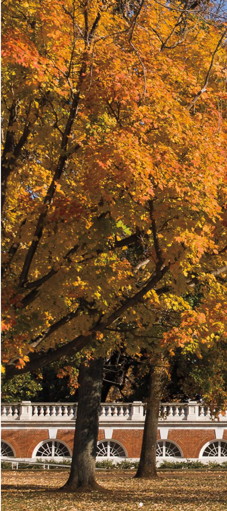 新古典主义建筑风格概述